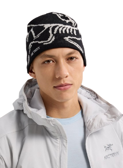 arc'teryx Beanies