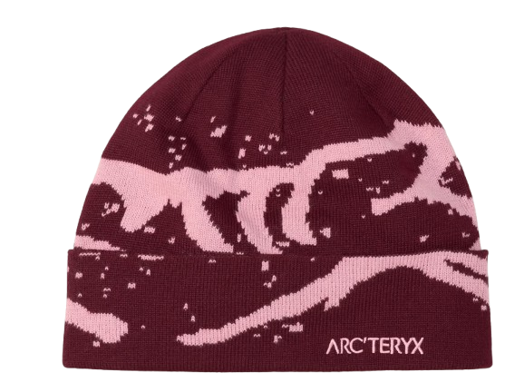 arc'teryx Beanies