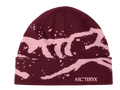 arc'teryx Beanies